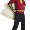 Rubie's Shazam! Movie Child's Costume Top & Hooded Cape, Large -Forum Novelties Shop 317Tr2BQ5yL 1