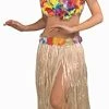 Forum Novelties Hawaiian Hula Girl Dancer 3-Piece Costume Kit Party Supplies, 18 X 7 X 2.5" 2 Forum Novelties Hawaiian Hula Girl Dancer 3-Piece Costume Kit Party Supplies, 18 X 7 X 2.5" -Forum Novelties Shop 31QZ8ggqC4S