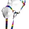 Forum Unisex-Adult's Unicorn Costume Mask With Bridle, White/Rainbow, One Size -Forum Novelties Shop 31bph0hgnYL