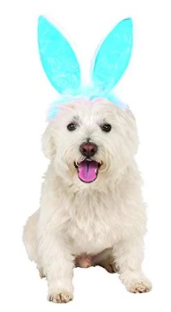 Crinkle Blue Bunny Ears Pet Headband, Medium/Large