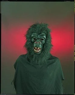 Forum Novelties 54280 Gorilla Black Mask With Hair -Forum Novelties Shop 411AVlZXFvL