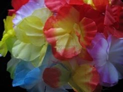 Forum Novelties Hawaiian Hula Dancer Silk Flower Bra -Forum Novelties Shop 414gCpgcNsL