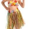 Forum Novelties Child Size Hawaiian Hula Dancer Costume Set, 3-Piece -Forum Novelties Shop 418F7bMTBaL