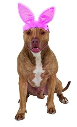 Crinkle Pink Bunny Ears Pet Headband, Small/Medium