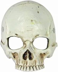 Forum Novelties Foam Skull Mask -Forum Novelties Shop 41JPRNqM4nL. AC