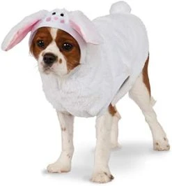 Bunny Hoodie For Pet, Medium -Forum Novelties Shop 41PTHmAMC7L. AC