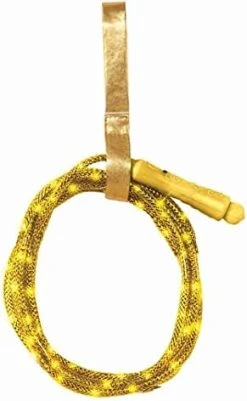 Rubie's DC Super Hero Girls Wonder Woman Lasso, One Size 9 Rubie's DC Super Hero Girls Wonder Woman Lasso, One Size -Forum Novelties Shop 41VkkYuyNpS. AC