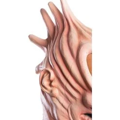 Rubie's Costume Men's Beetlejuice Adam Mask -Forum Novelties Shop 41hr1cbGwtL