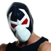 Rubie's Costume Co Men's Batman Bane Mask