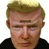Rubie's Adult Forum Presidential Overhead Plush Mask