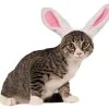 Rubie's Bunny Ears For Your Pet, Small/Medium -Forum Novelties Shop 41sEnWx8lxL