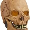 Rubie's Costume Deluxe Overhead Skull Mask -Forum Novelties Shop 41tLXliKJ4S