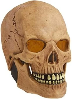 Rubie's Costume Deluxe Overhead Skull Mask 13 Rubie's Costume Deluxe Overhead Skull Mask -Forum Novelties Shop 41tLXliKJ4S. AC