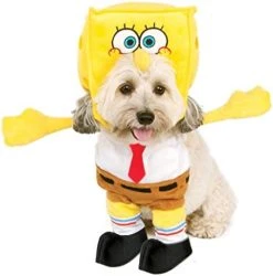 Rubie's Walking Spongebob Square Pants Pet Costume, Large -Forum Novelties Shop 41vQdgKokDL. AC 1