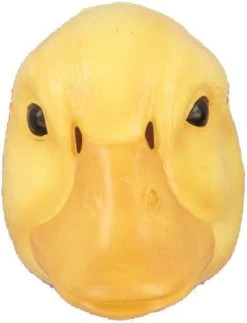 Forum Novelties Child's Plastic Animal Mask -Forum Novelties Shop 41wb49pJs5L. AC 1