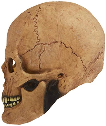 Rubie's Costume Deluxe Overhead Skull Mask 7 Rubie's Costume Deluxe Overhead Skull Mask - Image 5