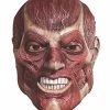 Rubie's Adult Overhead Latex Mask, Skinner 2 Rubie's Adult Overhead Latex Mask, Skinner -Forum Novelties Shop 51AVB7rZJAL