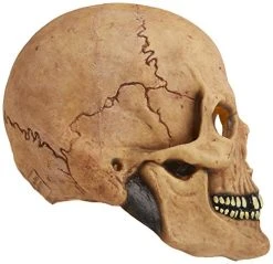 Rubie's Costume Deluxe Overhead Skull Mask 11 Rubie's Costume Deluxe Overhead Skull Mask -Forum Novelties Shop 51WRfs6fNjL