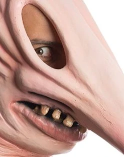 Rubie's Costume Men's Beetlejuice Adam Mask -Forum Novelties Shop 51YQmJIligL