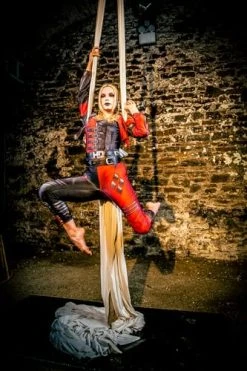 Rubie's Official Harley Quinn Ladies Jumpsuit Halloween Suicide Squad 2 Womens Villain Costume 13 Rubie's Official Harley Quinn Ladies Jumpsuit Halloween Suicide Squad 2 Womens Villain Costume -Forum Novelties Shop 51adyGFeAeL