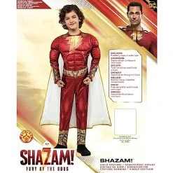 Rubie's Child's Shazam! Fury Of The Gods Padded Costume Jumpsuit And Cape, As Shown 12 Rubie's Child's Shazam! Fury Of The Gods Padded Costume Jumpsuit And Cape, As Shown -Forum Novelties Shop 51jLk2L3nL