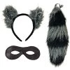 Forum Novelties Women's Adult Raccoon Ears And Tail With Mask -Forum Novelties Shop 51yMm6n3z6L