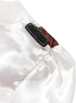 Rubie's Child's Transylvanian Vampire Costume, Large -Forum Novelties Shop 61P2RjlzfHL